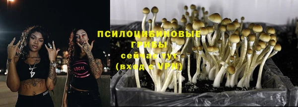 амф Богданович