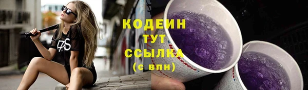 амф Богданович