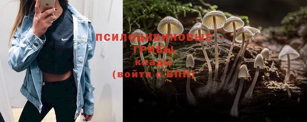 MESCALINE Бородино