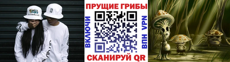 Псилоцибиновые грибы мицелий Купить Октябрьский
